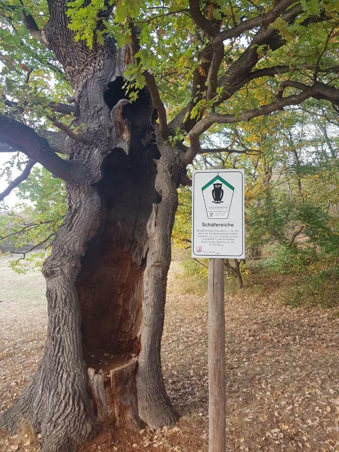 טאלה Villa Windschief מראה חיצוני תמונה